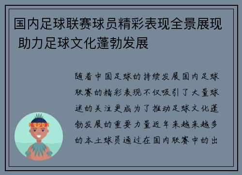 国内足球联赛球员精彩表现全景展现 助力足球文化蓬勃发展